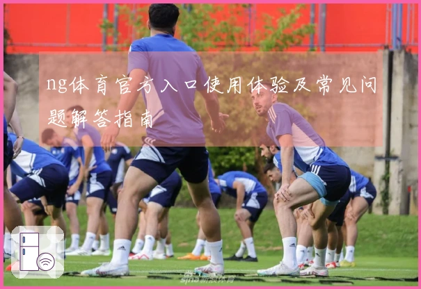ng体育官方入口使用体验及常见问题解答指南