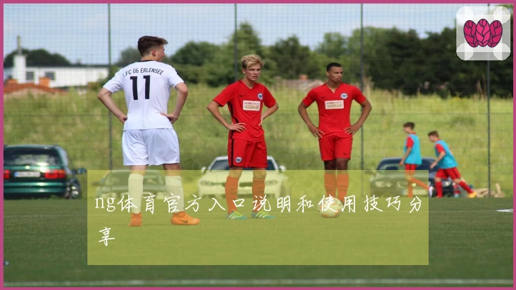 ng体育官方入口说明和使用技巧分享