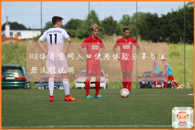 ng体育官网入口使用体验分享与注册流程说明