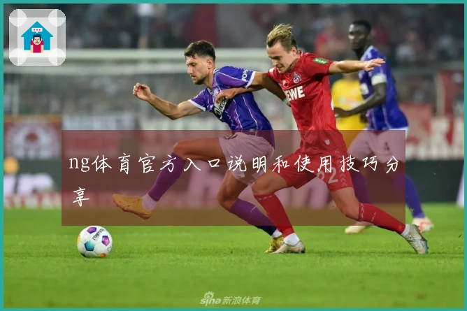 ng体育官方入口说明和使用技巧分享