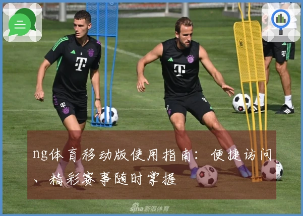 ng体育移动版使用指南：便捷访问、精彩赛事随时掌握