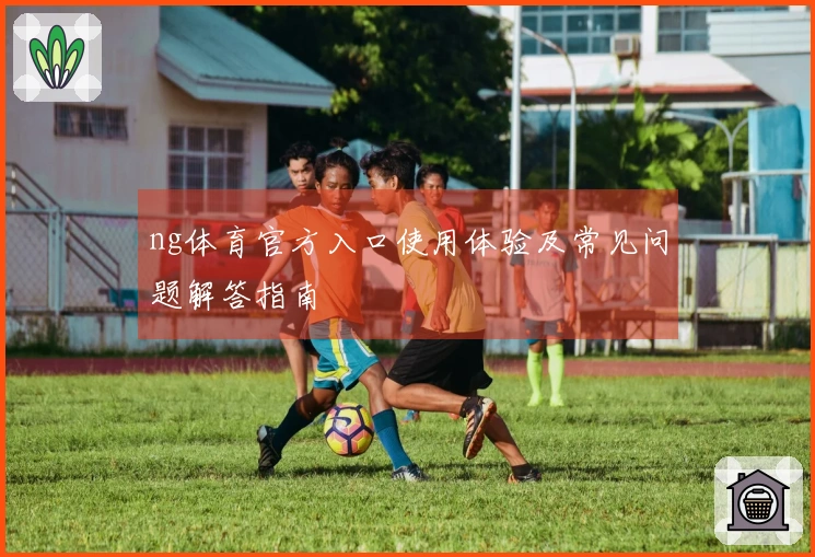 ng体育官方入口使用体验及常见问题解答指南